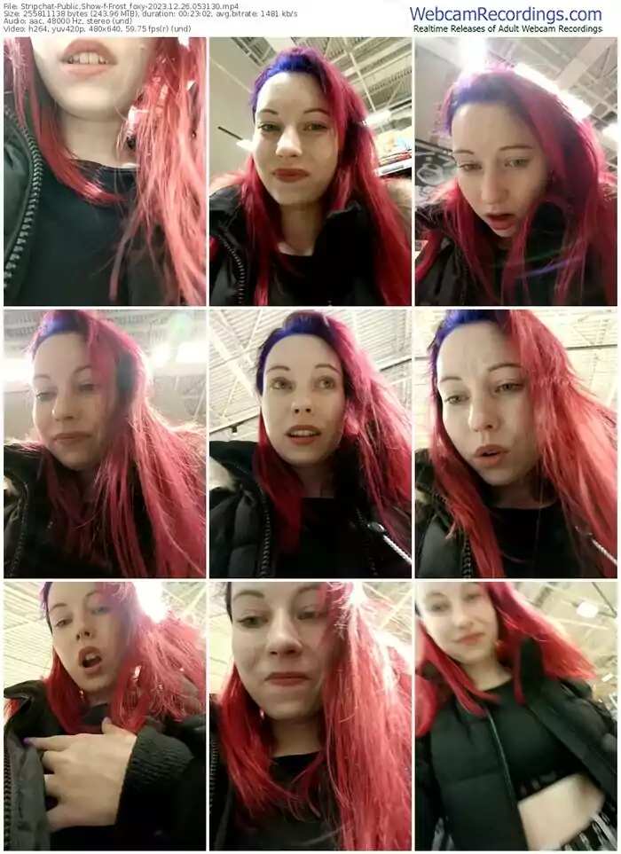 2023/12/26/stripchat-frost_foxy-05-31-30