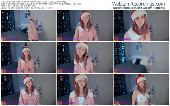 2023/12/26/stripchat-rosewellsk-01-05-29