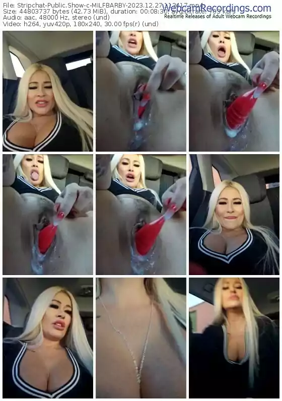 2023/12/27/stripchat-milfbarby-11-34-17