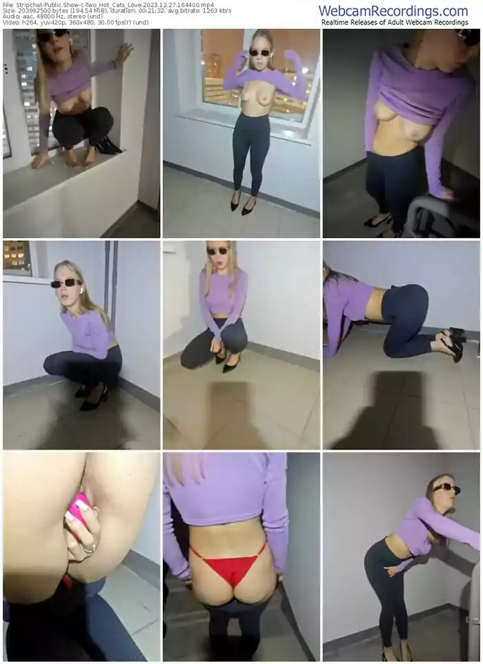 2023/12/27/stripchat-two_hot_cats_love-16-44-00