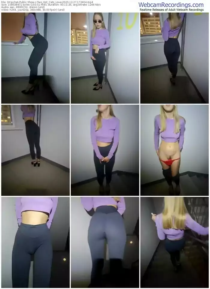 2023/12/27/stripchat-two_hot_cats_love-17-24-04