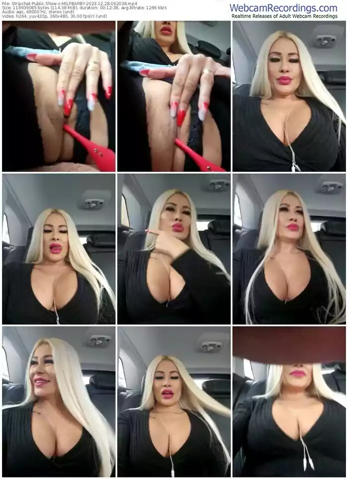 2023/12/28/stripchat-milfbarby-09-20-38