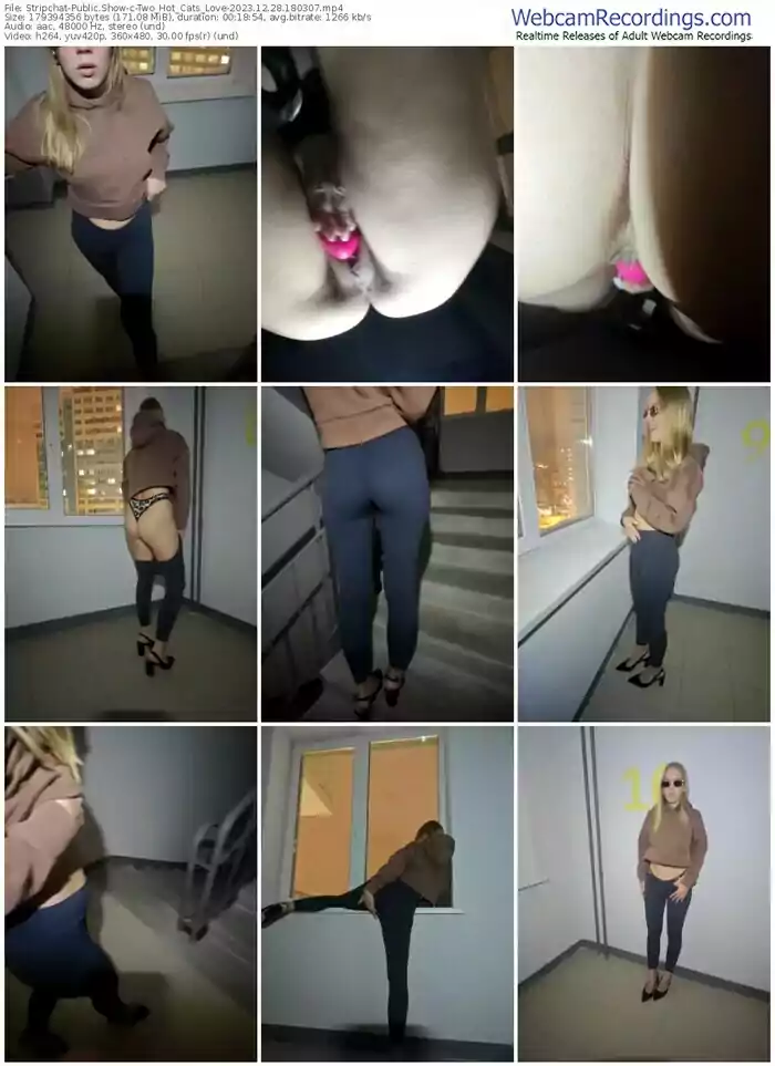 2023/12/28/stripchat-two_hot_cats_love-18-03-07
