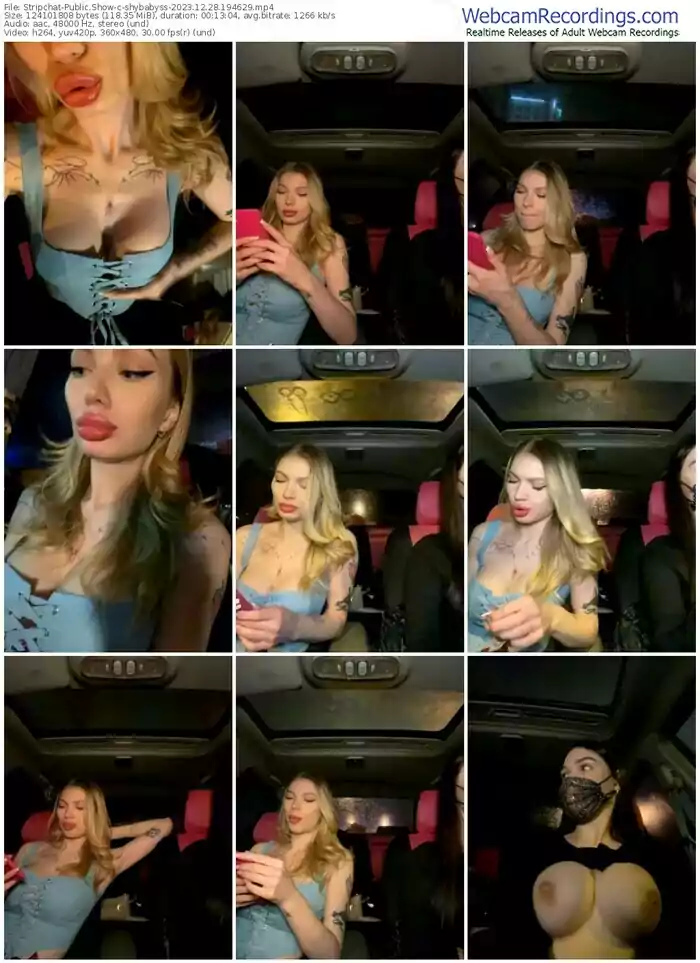 2023/12/28/stripchat-shybabyss-19-46-29