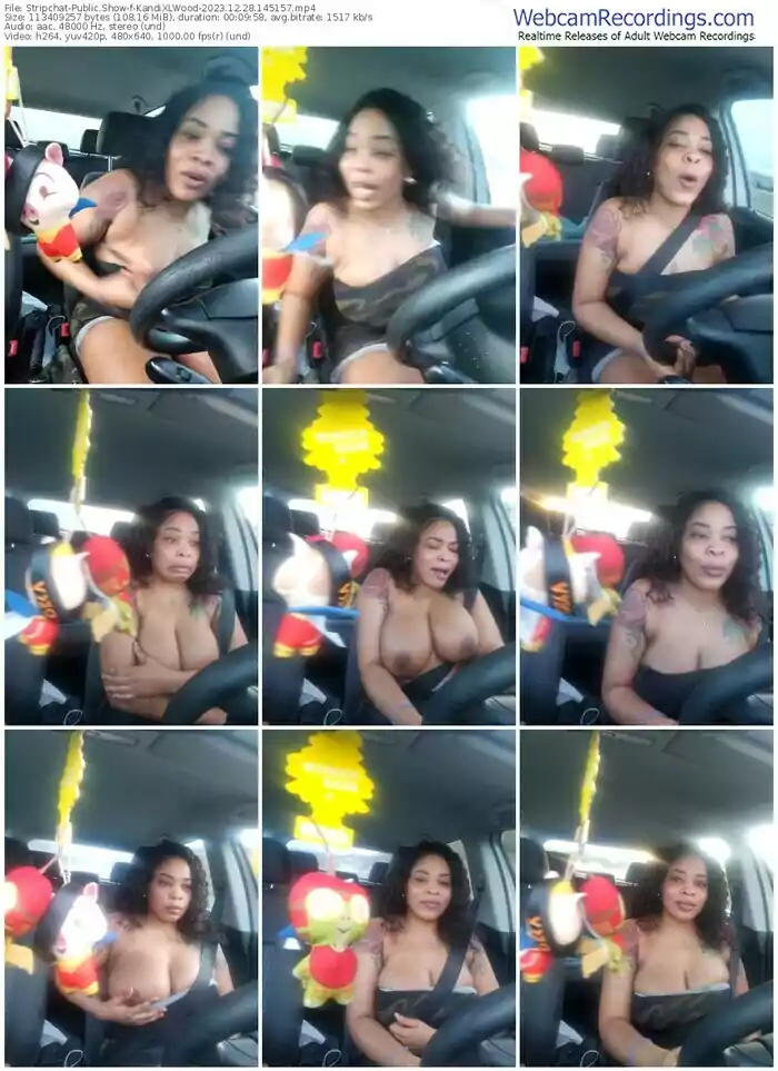 2023/12/28/stripchat-kandixlwood-14-51-57
