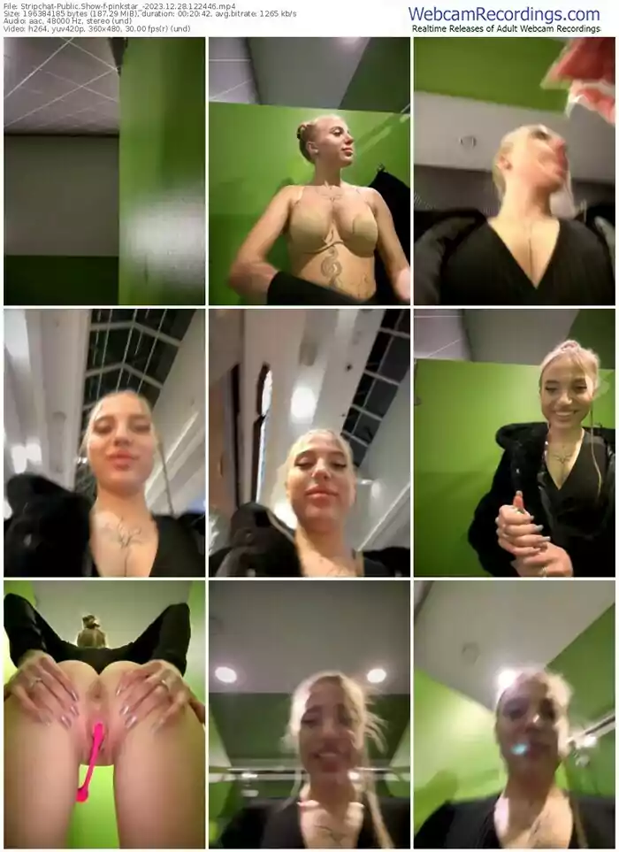 2023/12/28/stripchat-pinkstar_-12-24-46
