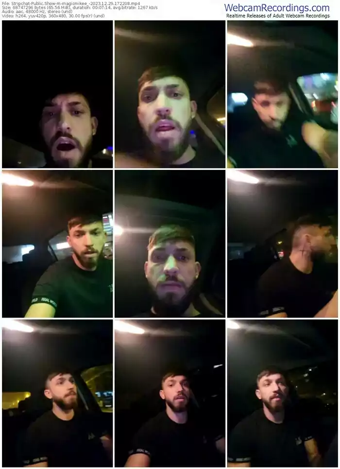 2023/12/29/stripchat-magicmikee_-17-22-08