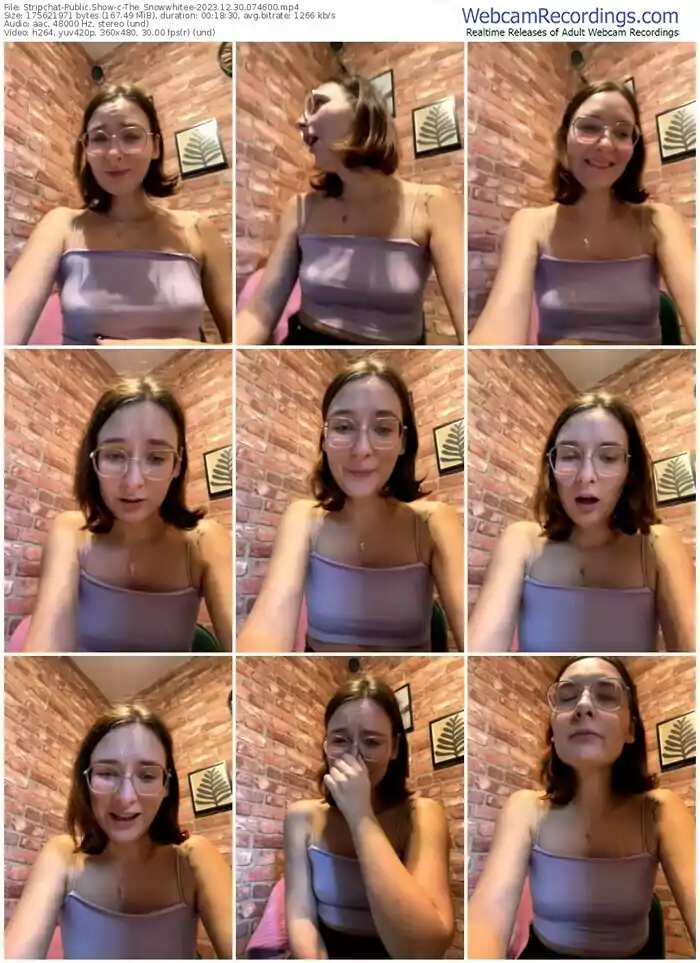 2023/12/30/stripchat-the_snowwhitee-07-46-00