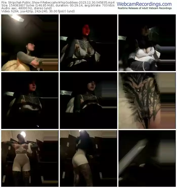 2023/12/30/stripchat-rebeccahxwhipgoddess-04-58-35