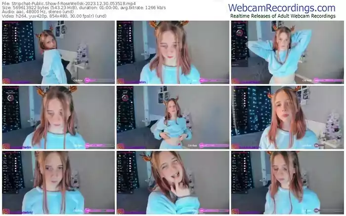 2023/12/30/stripchat-rosewellsk-05-35-18