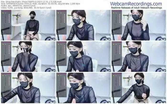 2023/12/31/stripchat-bap0-0-17-13-28