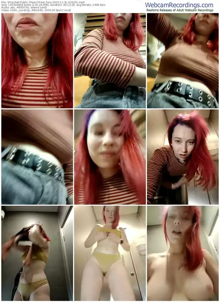 2023/12/31/stripchat-frost_foxy-02-32-51