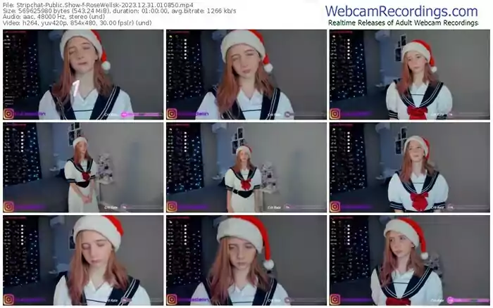 2023/12/31/stripchat-rosewellsk-01-08-50