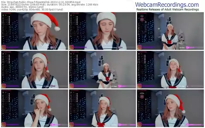 2023/12/31/stripchat-rosewellsk-02-08-59