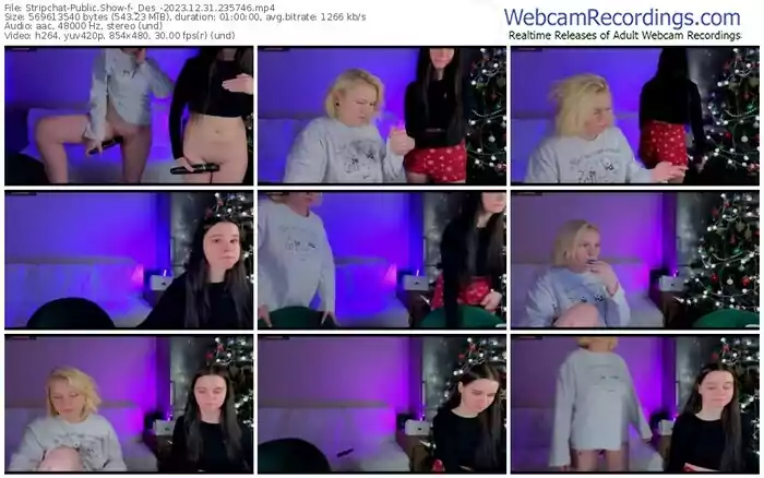 2023/12/31/stripchat-_des_-23-57-46