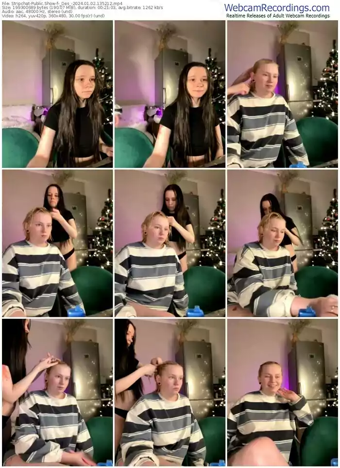 2024/01/02/stripchat-_des_-13-52-12