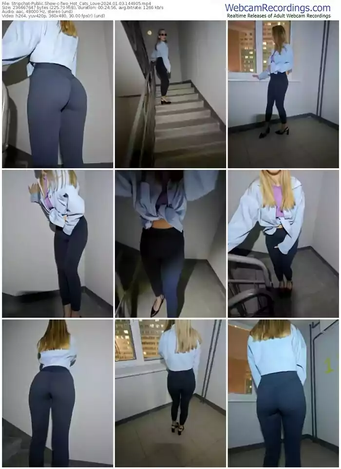 2024/01/03/stripchat-two_hot_cats_love-14-49-05