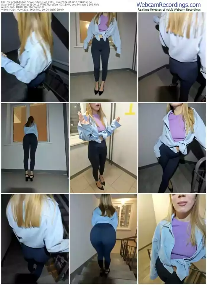 2024/01/03/stripchat-two_hot_cats_love-15-34-09
