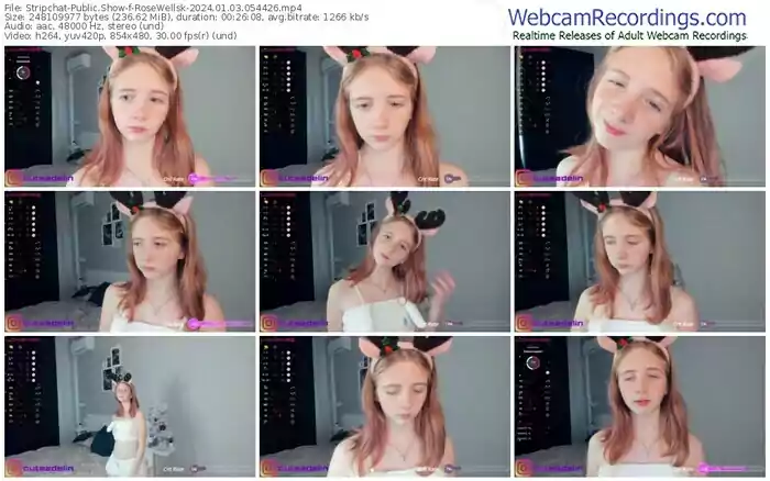 2024/01/03/stripchat-rosewellsk-05-44-26