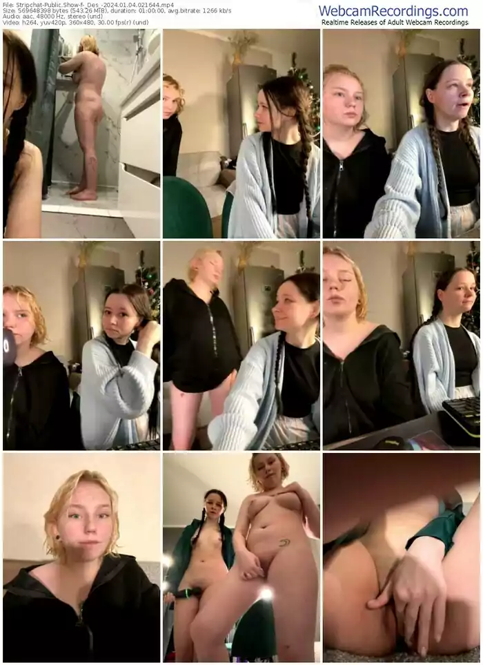 2024/01/04/stripchat-_des_-02-16-44