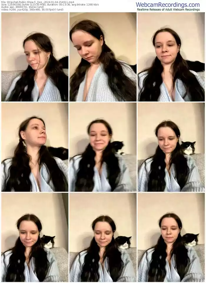 2024/01/04/stripchat-_des_-15-40-11