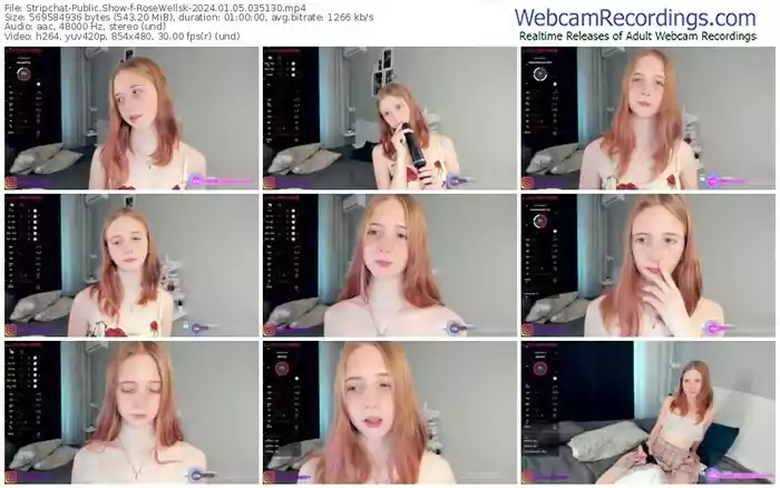 2024/01/05/stripchat-rosewellsk-03-51-30