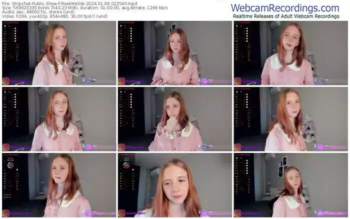 2024/01/06/stripchat-rosewellsk-02-35-40