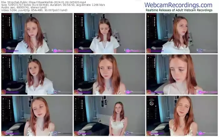 2024/01/06/stripchat-rosewellsk-04-59-20