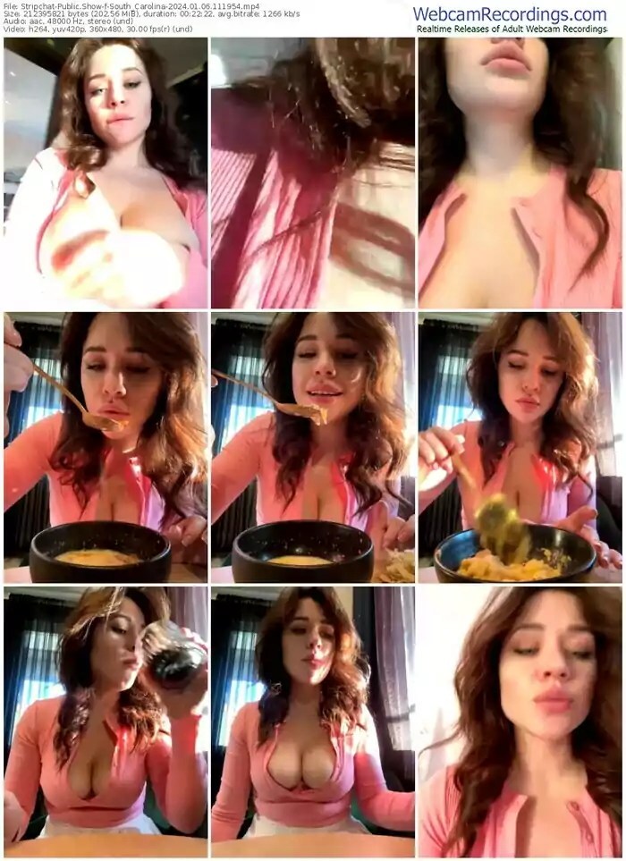 2024/01/06/stripchat-south_carolina-11-19-54