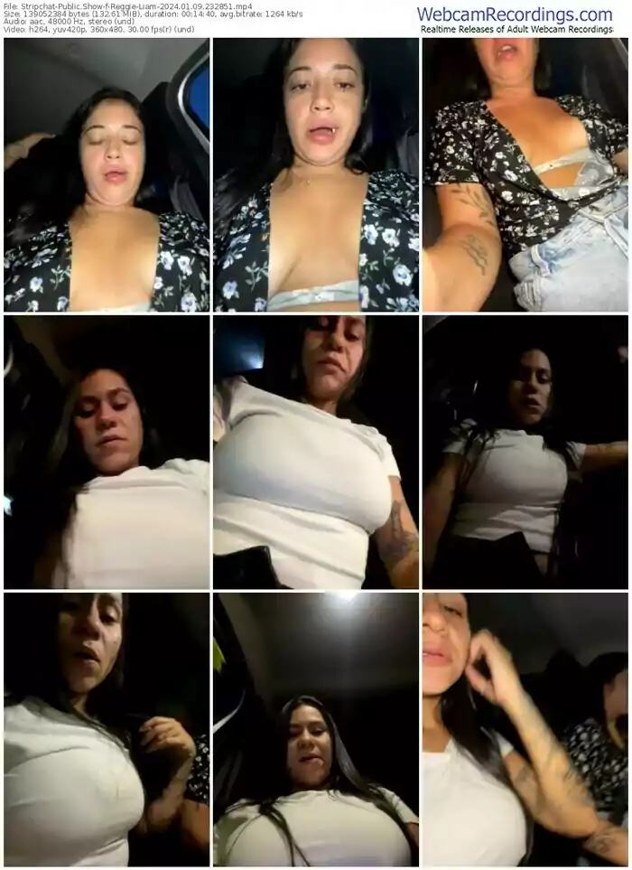 2024/01/09/stripchat-reggie-liam-23-28-51