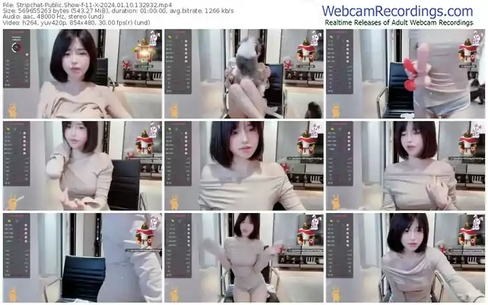 2024/01/10/stripchat-11-x-13-29-32