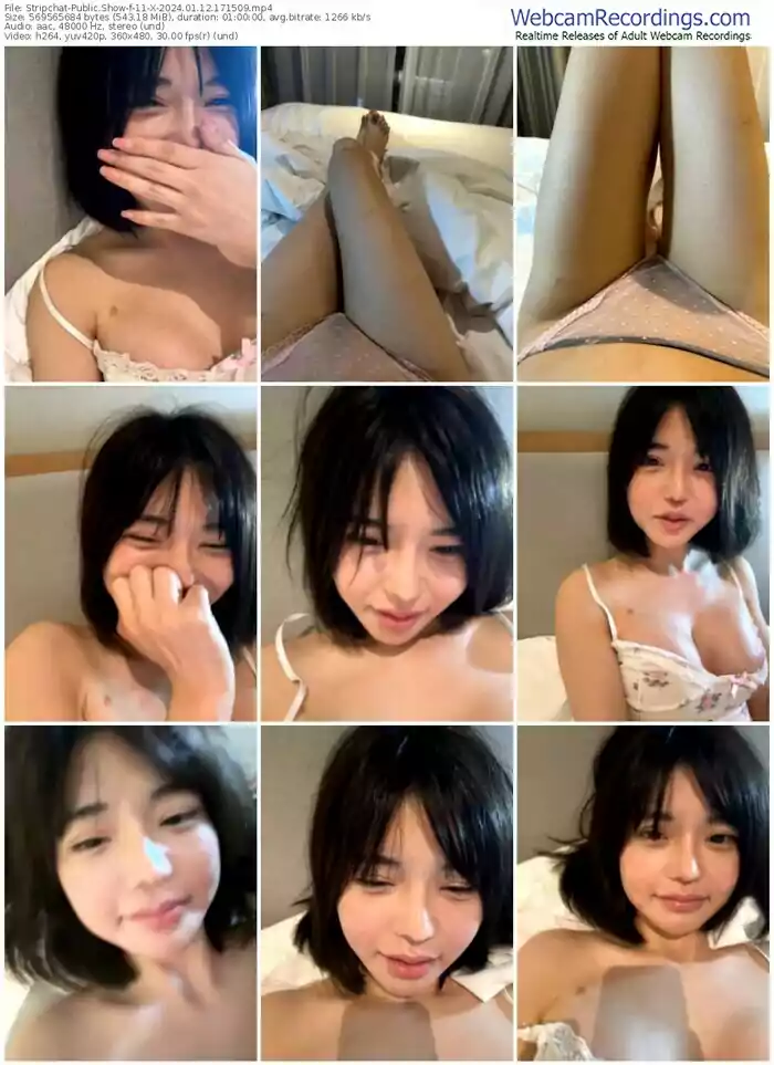 2024/01/12/stripchat-11-x-17-15-09