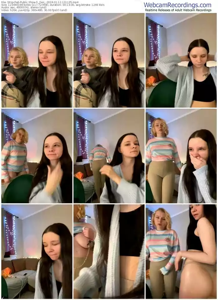 2024/01/12/stripchat-_des_-13-11-35