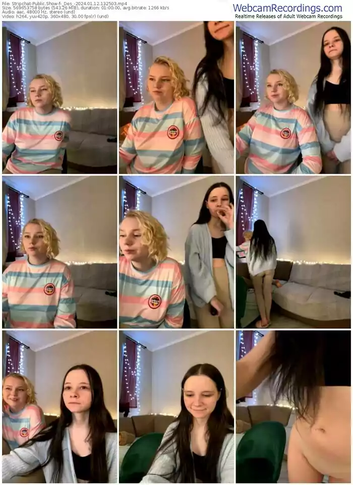 2024/01/12/stripchat-_des_-13-25-03