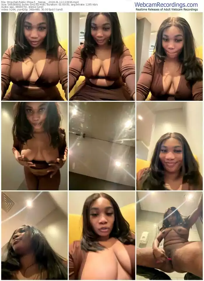 2024/01/12/stripchat-__nessa__-12-29-36