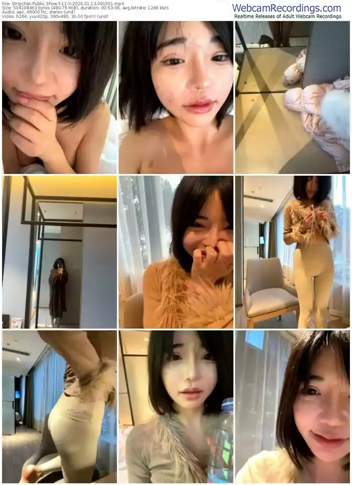 2024/01/13/stripchat-11-x-09-19-51