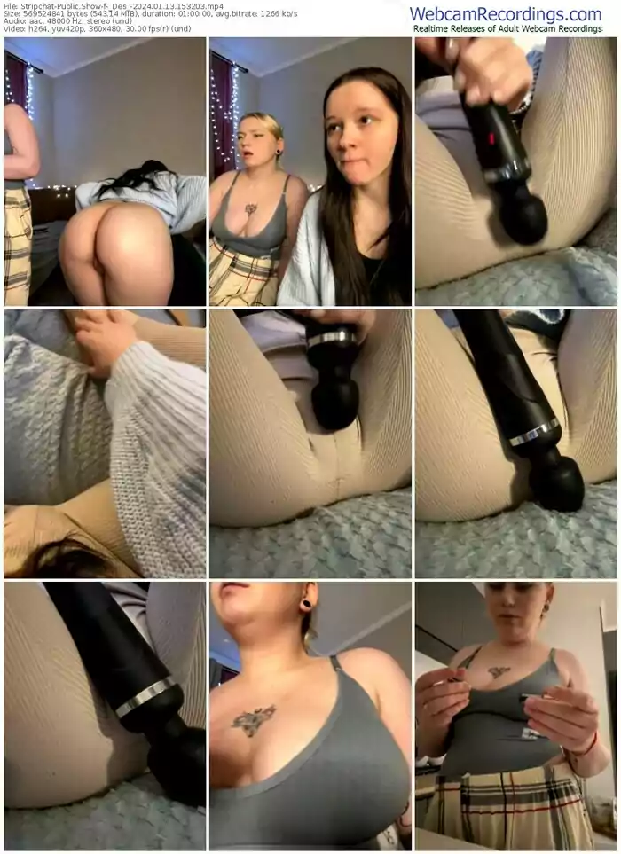2024/01/13/stripchat-_des_-15-32-03