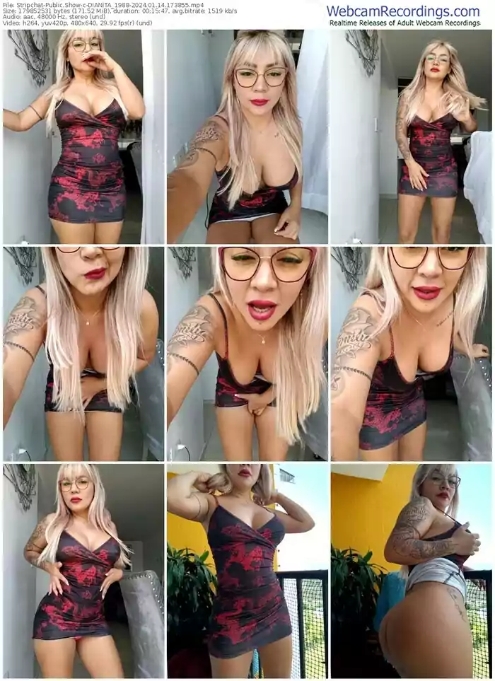 2024/01/14/stripchat-dianita_1988-17-38-55