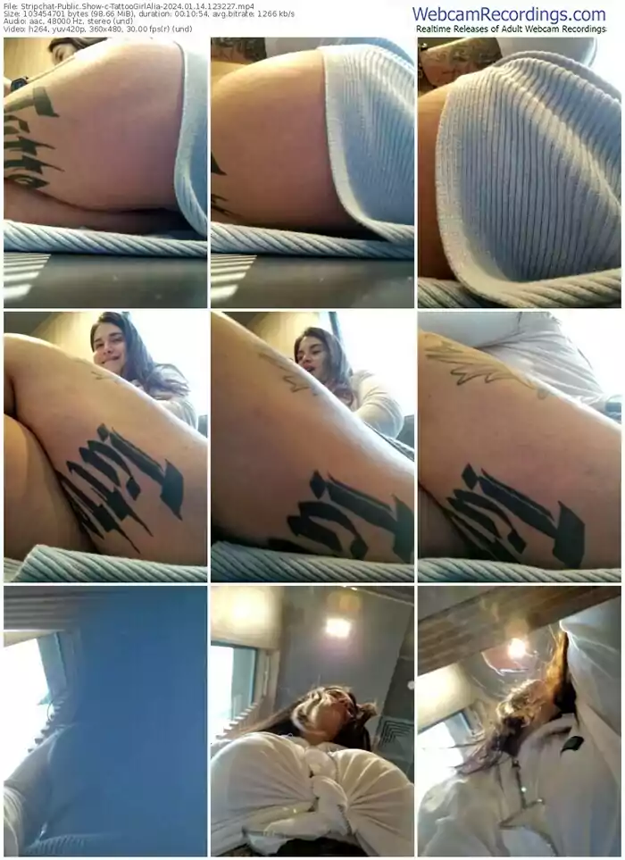 2024/01/14/stripchat-tattoogirlalia-12-32-27
