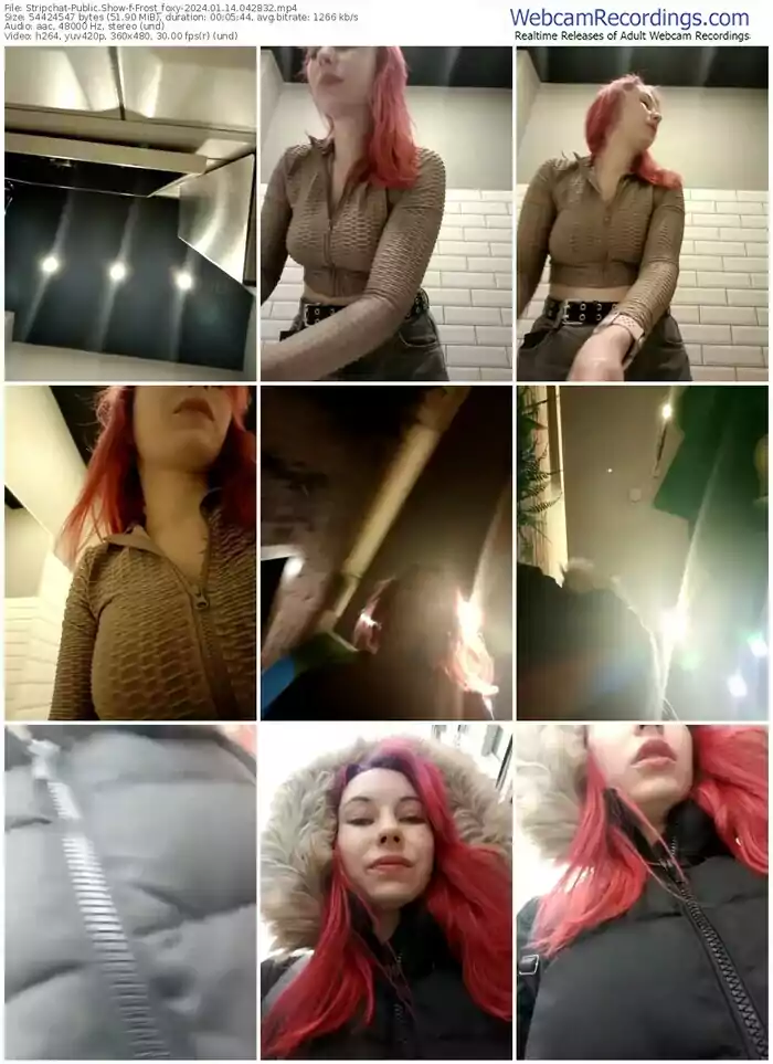 2024/01/14/stripchat-frost_foxy-04-28-32