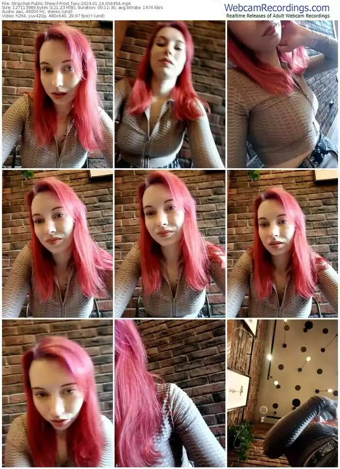 2024/01/14/stripchat-frost_foxy-05-44-54