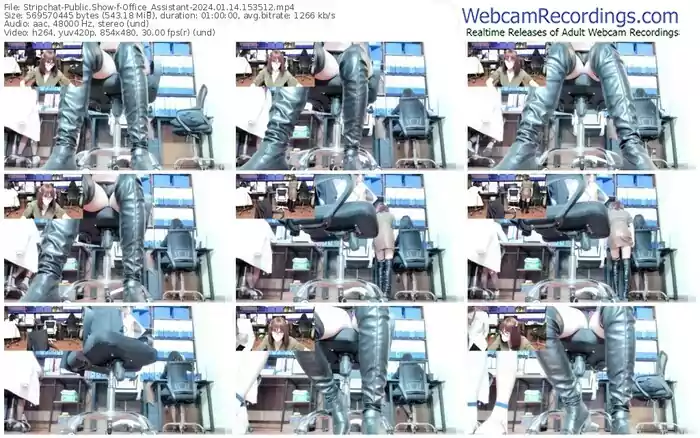 2024/01/14/stripchat-office_assistant-15-35-12