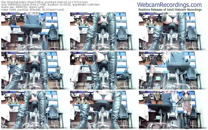 2024/01/14/stripchat-office_assistant-17-07-13