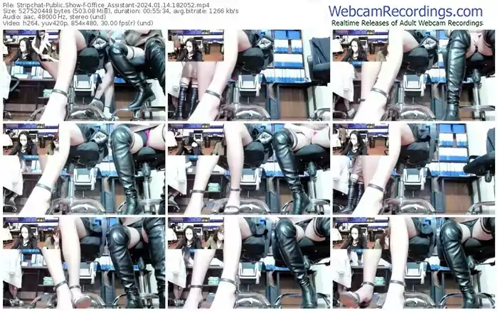 2024/01/14/stripchat-office_assistant-18-20-52