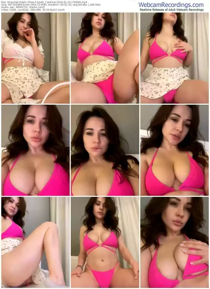 2024/01/14/stripchat-south_carolina-15-58-44