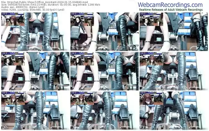 2024/01/15/stripchat-office_assistant-00-48-40