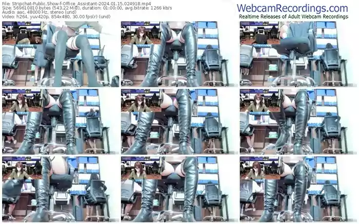 2024/01/15/stripchat-office_assistant-02-49-18