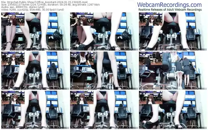 2024/01/15/stripchat-office_assistant-15-06-05