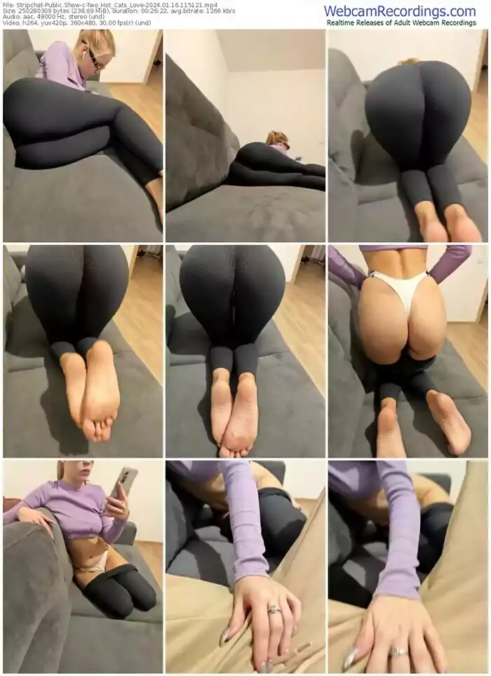 2024/01/16/stripchat-two_hot_cats_love-11-51-21