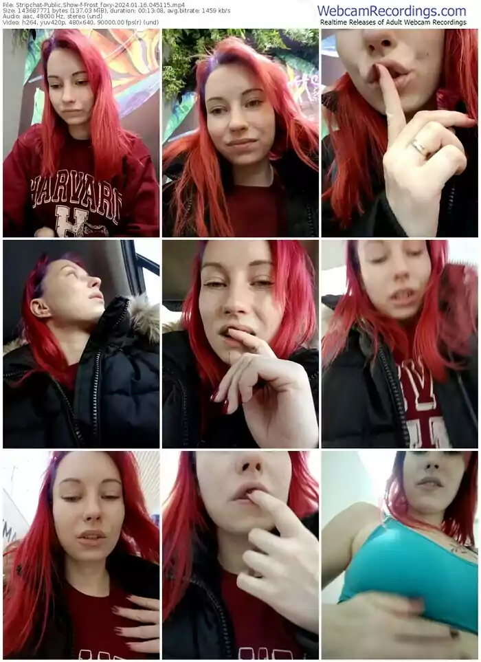 2024/01/16/stripchat-frost_foxy-04-51-15